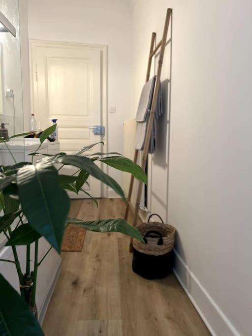 Appartement Cosy Et Lumineux Avec Parking Gratuit Colmar Exterior foto