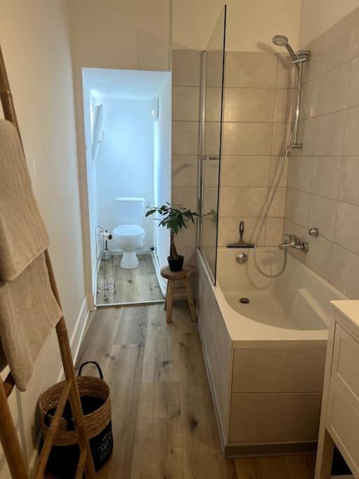 Appartement Cosy Et Lumineux Avec Parking Gratuit Colmar Exterior foto