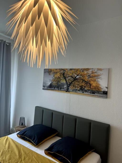 Appartement Cosy Et Lumineux Avec Parking Gratuit Colmar Exterior foto